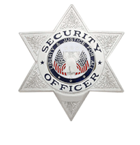 SECURITY OFFICER 6-POINT STAR